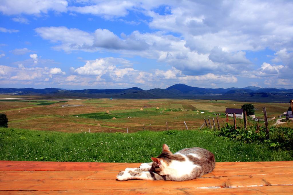 Family Farm Bungalow Villa Zabljak  Luaran gambar